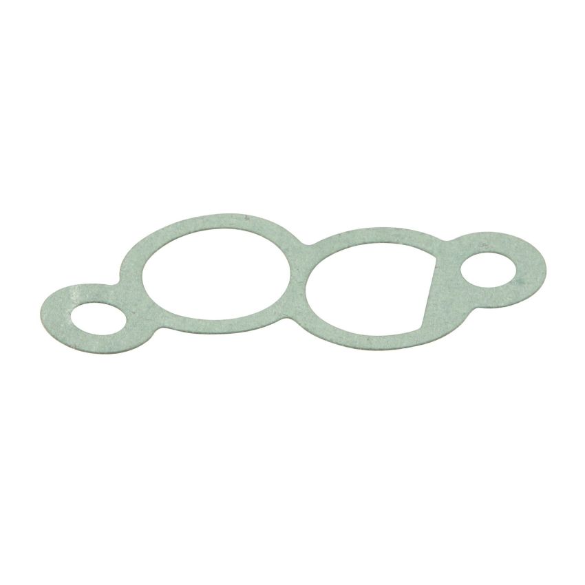 Genuine OEM Idle Control Valve Gasket 13711247894