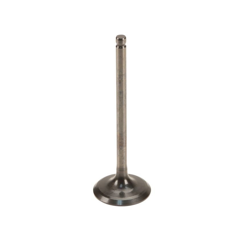 Genuine OEM Intake Valve 1371146022