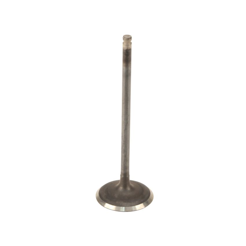 Genuine OEM Intake Valve 14711R44A00