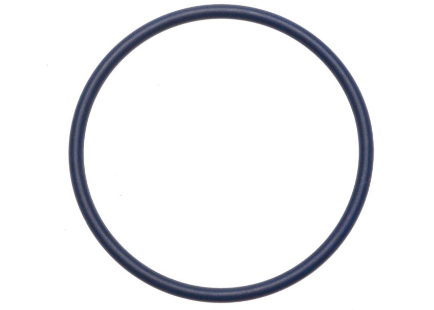 Genuine OEM Speed Sensor Seal 15552872