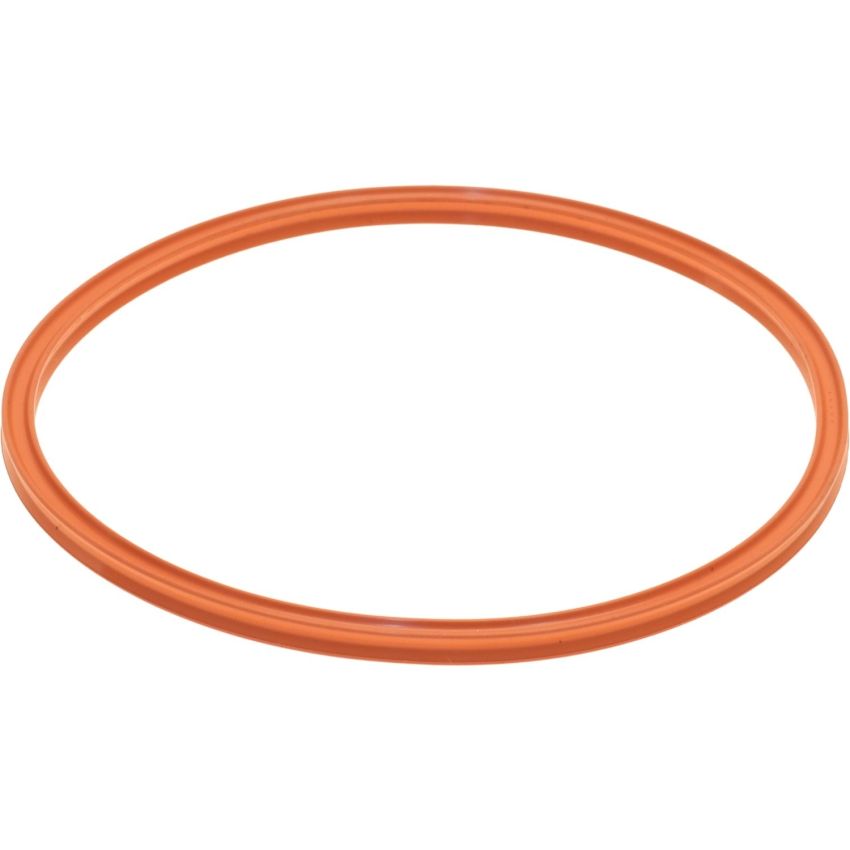 Genuine OEM Fuel Pump Tank Seal 16119800700
