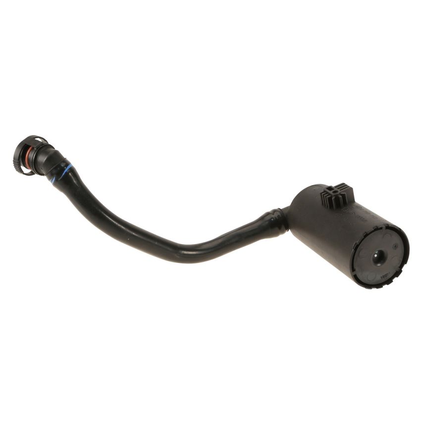 Genuine OEM Leak Detect Pump Filter 16137171081