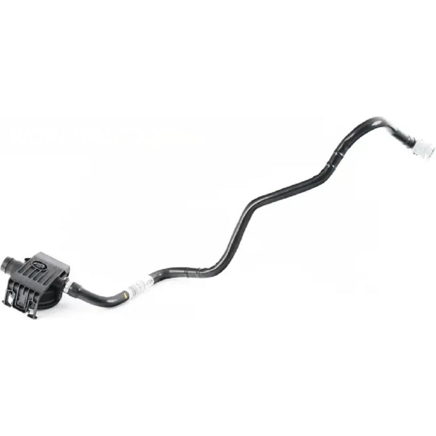 Genuine OEM Leak Detection Pump 16137300683