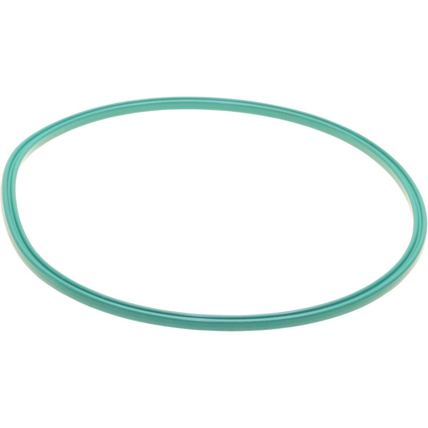 Genuine OEM Fuel Pump Tank Seal 1644710079