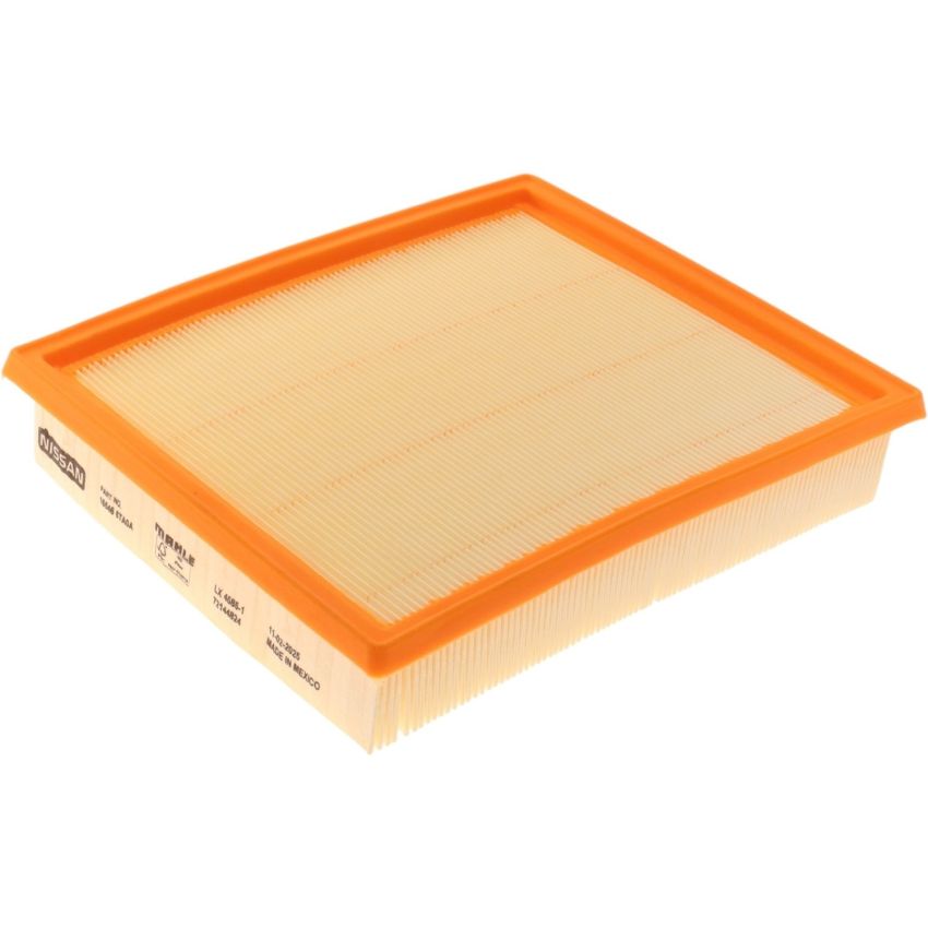 Genuine OEM Air Filter 165466TA0A
