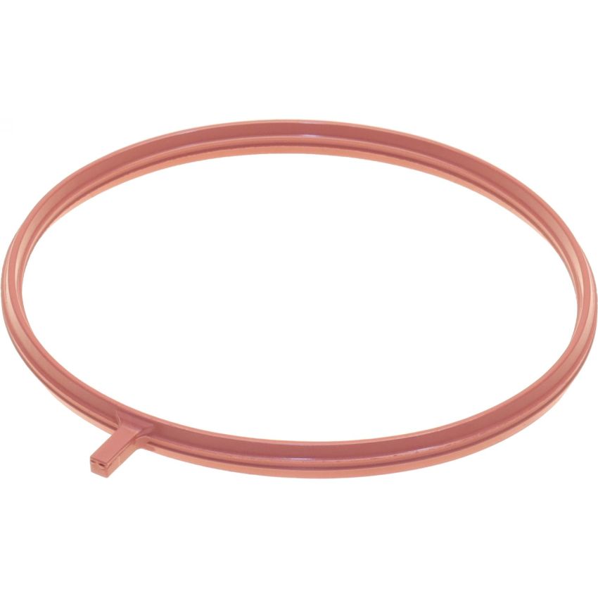 Genuine OEM FI Throttle Body Mount Gasket 17102RLVA01