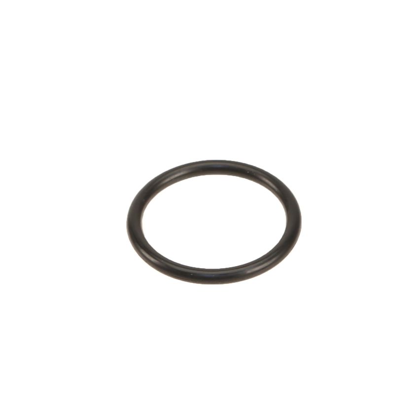 Genuine OEM Intake Plenum Gasket 17108RNAA01