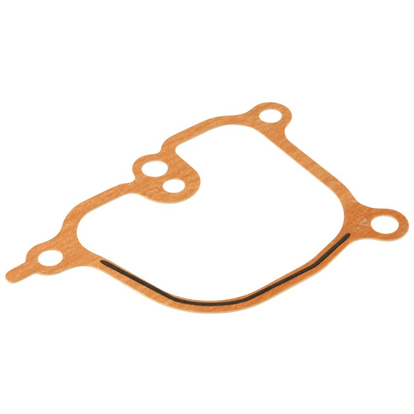 Genuine OEM Intake Plenum Gasket 17175P5A004