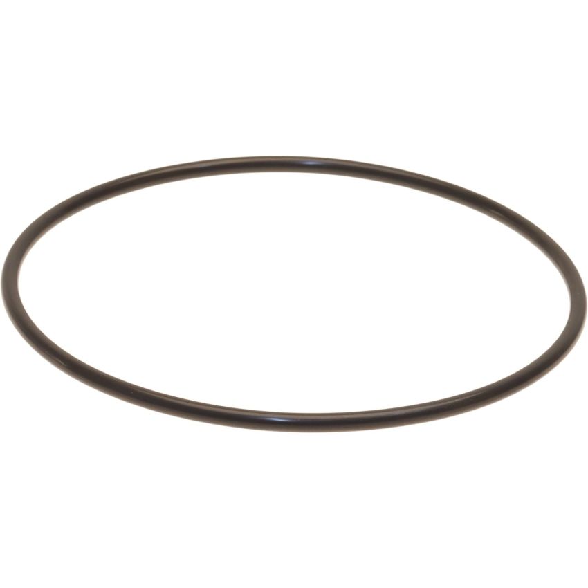 Genuine OEM Fuel Pump Tank Seal 173425M047