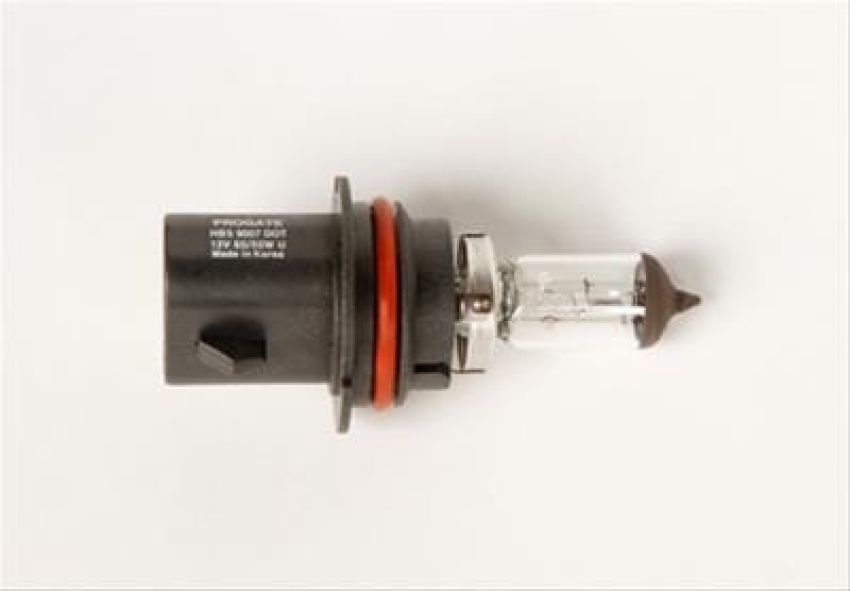 Genuine OEM Light Bulb 19257058