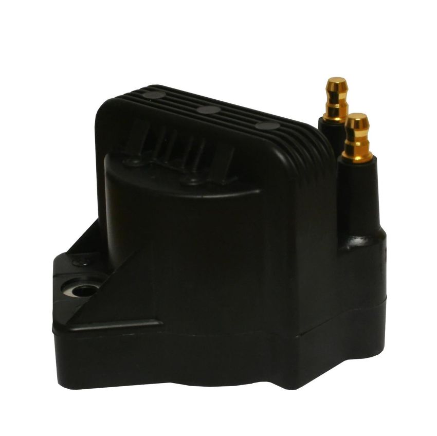Genuine OEM Ignition Coil 19418991