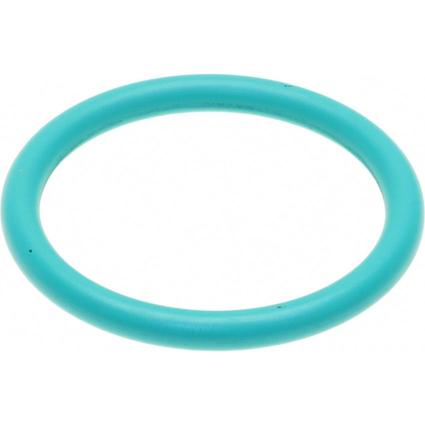 Genuine OEM 1C3Z6C610BA Oil Filter Adptr O-Ring