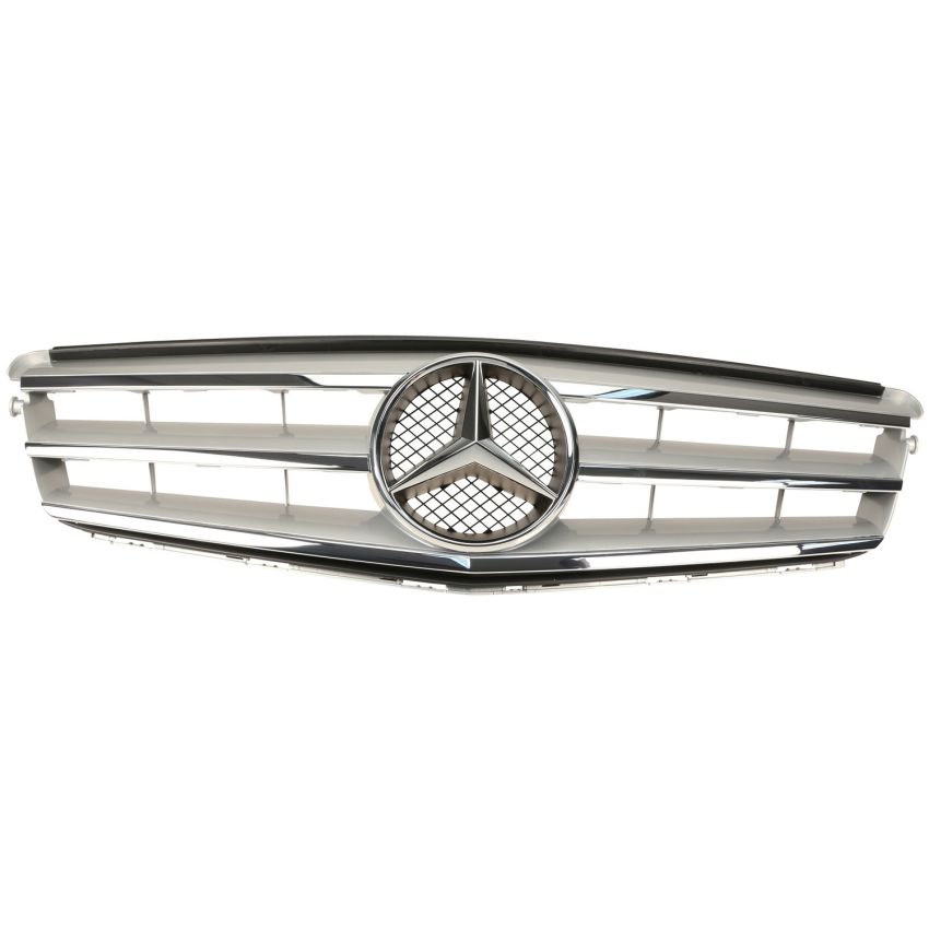 Genuine OEM 20488000239744 Grille Screen