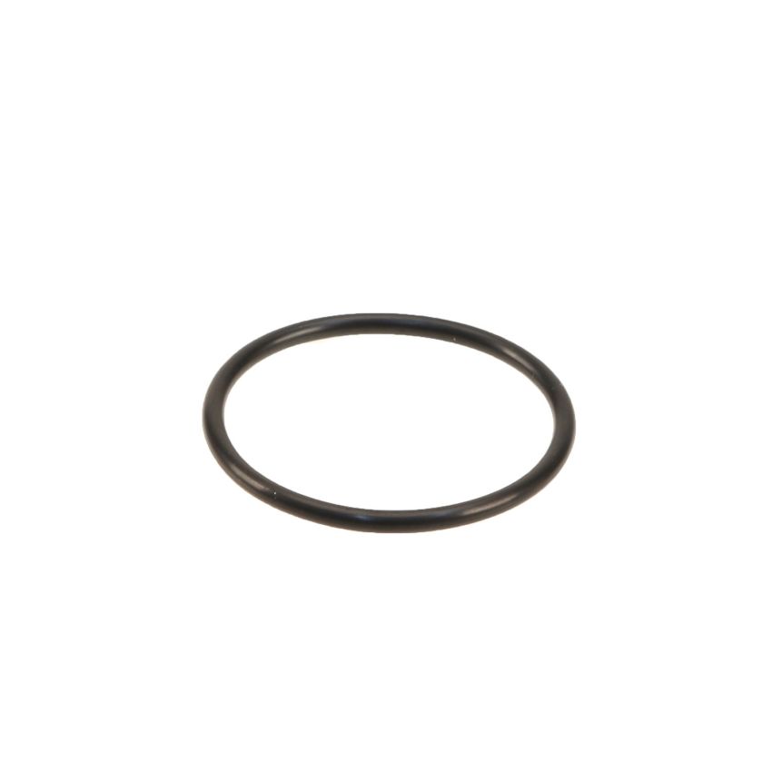 Genuine OEM Distributor O-Ring 221310M200