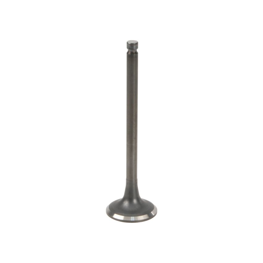 Genuine OEM Exhaust Valve 2221235500