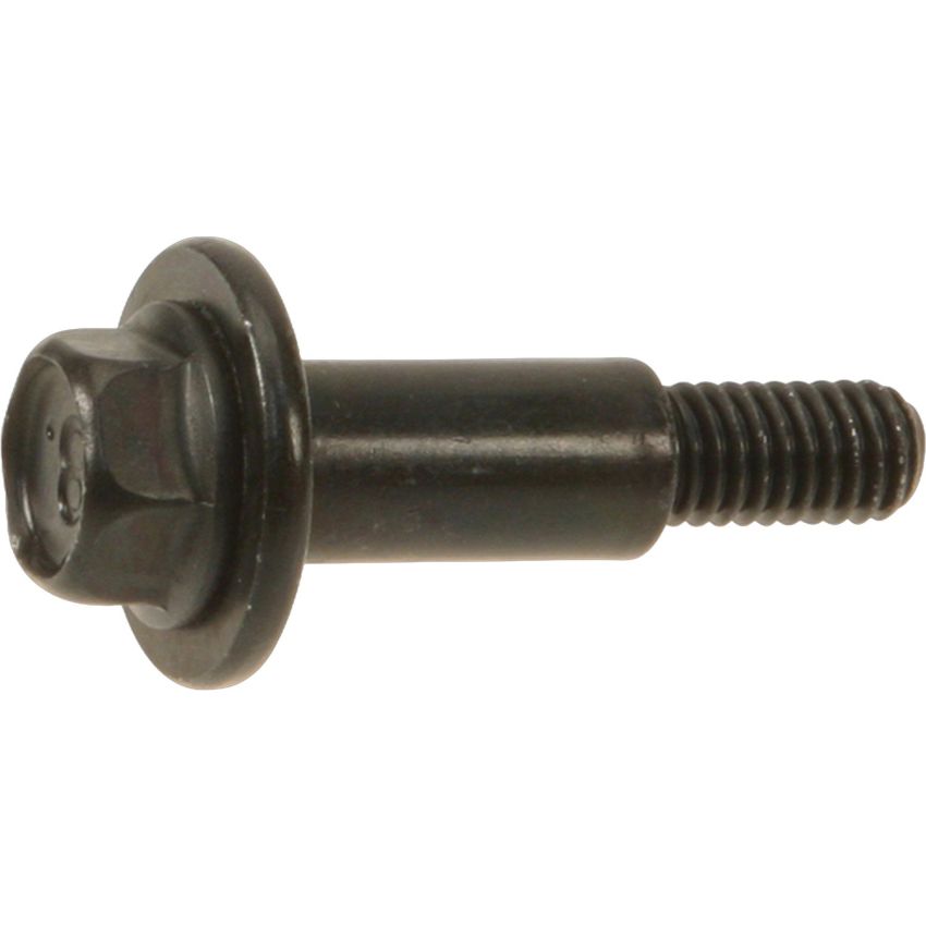 Genuine OEM Valve Cover Screw 224603B301
