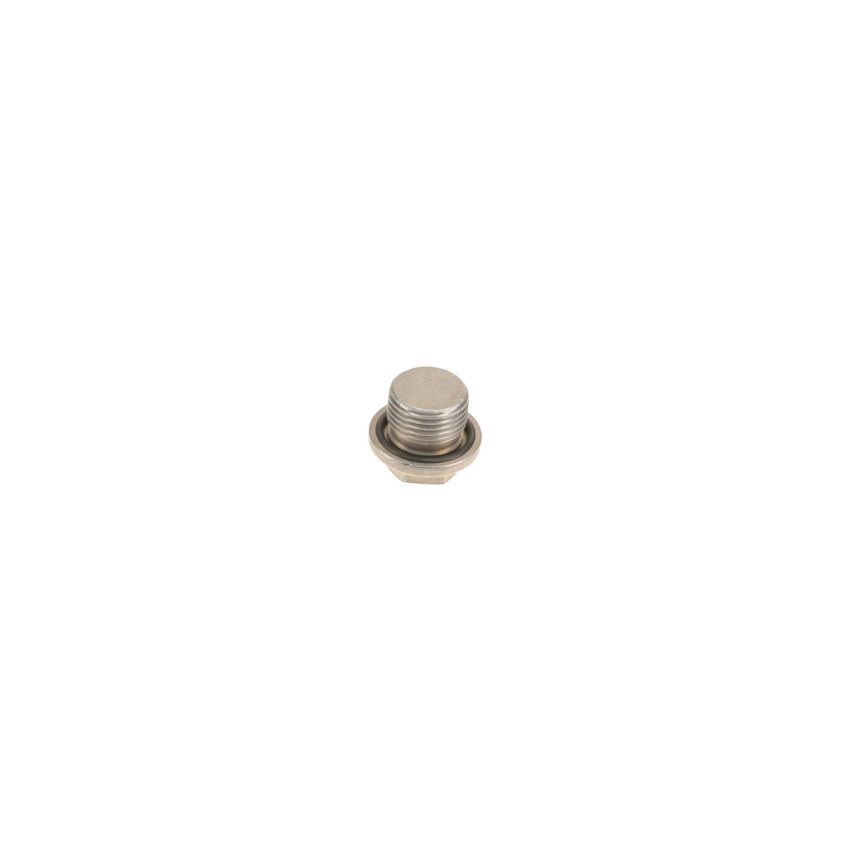 Genuine OEM AT Drain Plug 24117507787