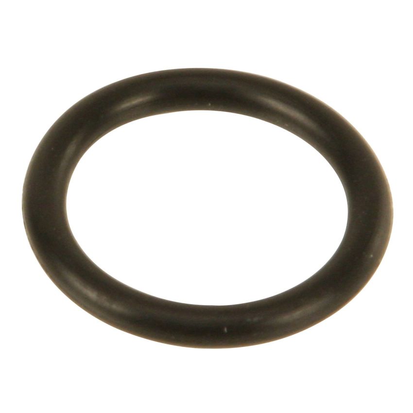 Genuine OEM AT Filter O-Ring 24117520714