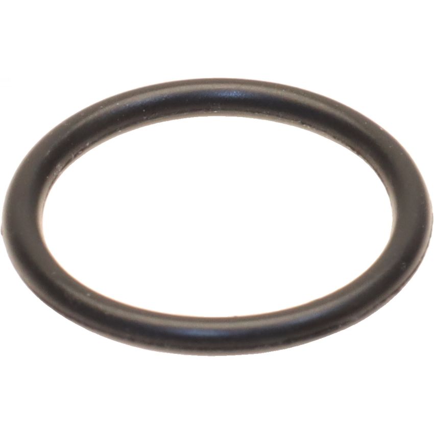 Genuine OEM AT Oil Cooler O-Ring 24117551094