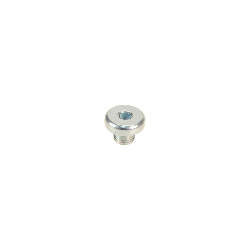 Genuine OEM Transmission Drain Plug 24117570791