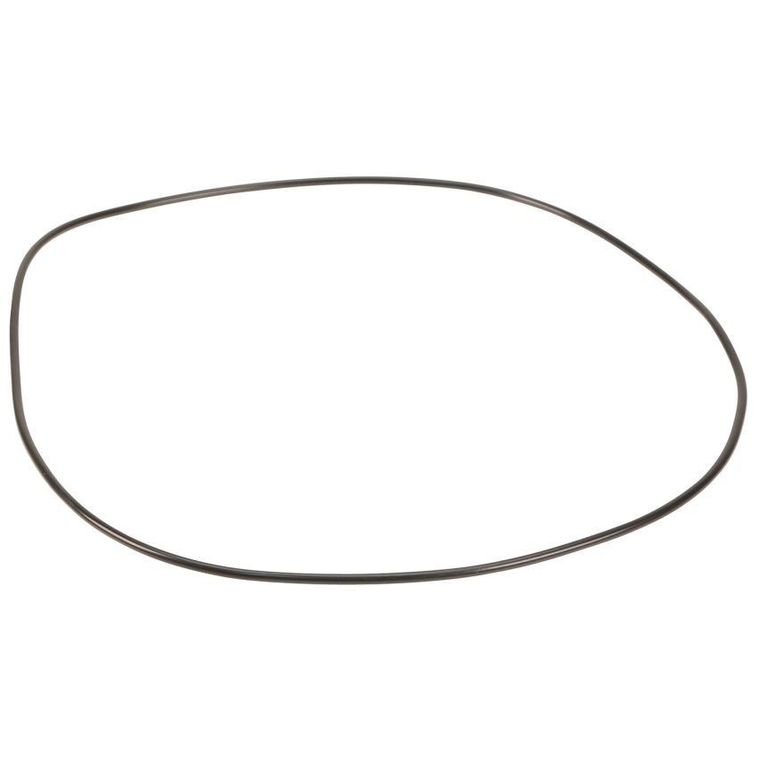 Genuine OEM 24311219166 AT Front Pump O-Ring