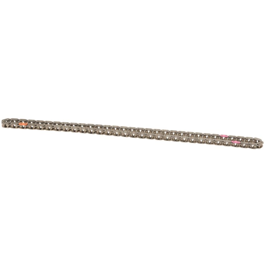 Genuine OEM 243212B620 Timing Chain
