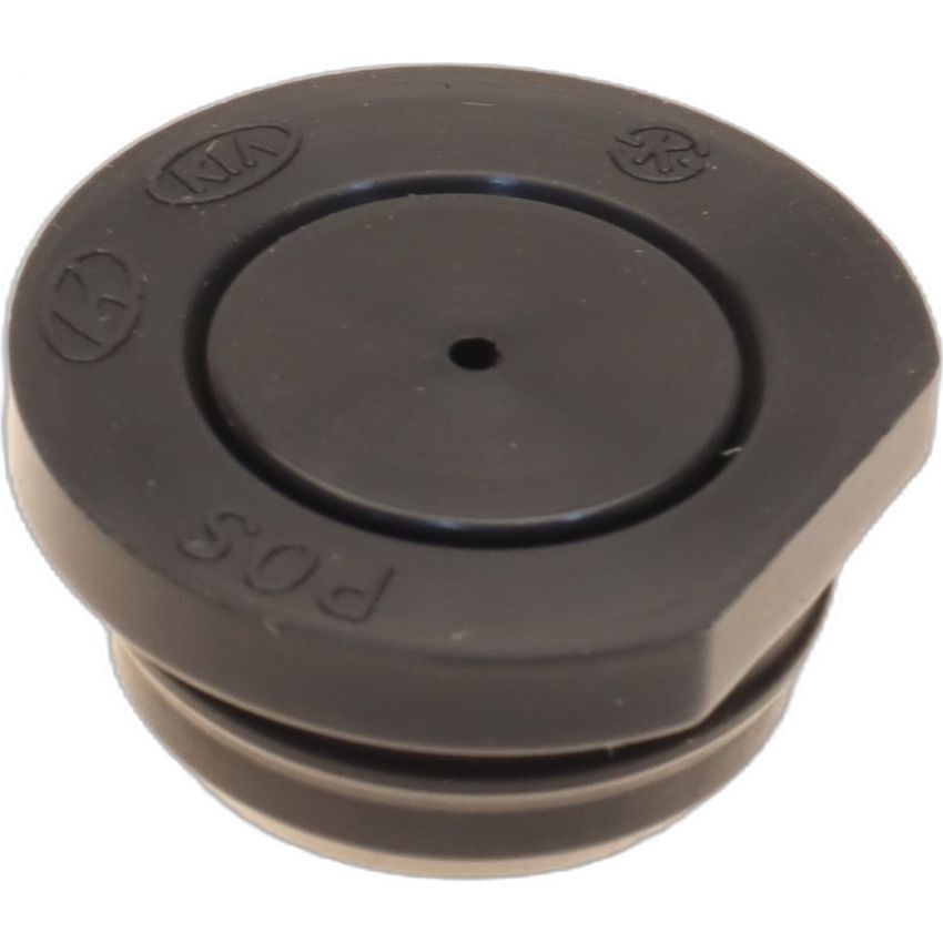 Genuine OEM Cam Plug 243522GGB0