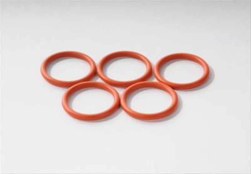 Genuine OEM O-ring 24502846