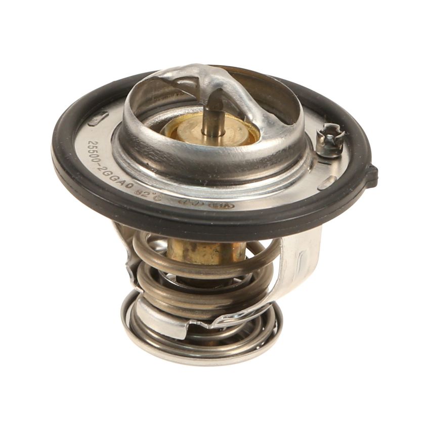 Genuine OEM 255002GGA0 Thermostat
