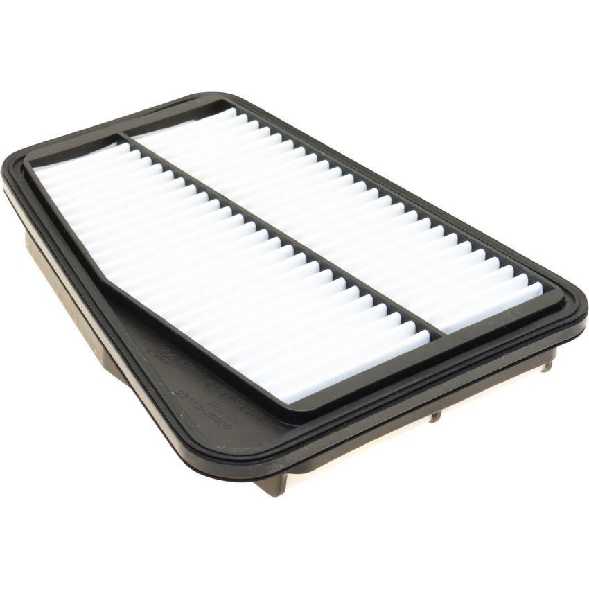 Genuine OEM 28113J5300 Air Filter
