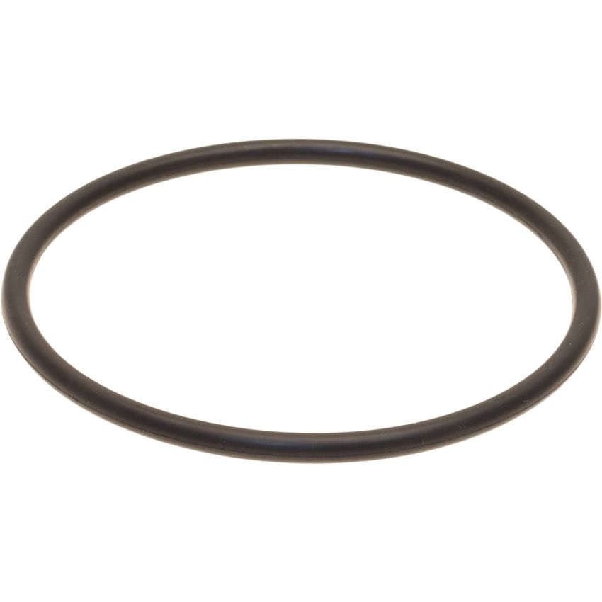 Genuine OEM Fuel Pump Tank Seal 311233X000