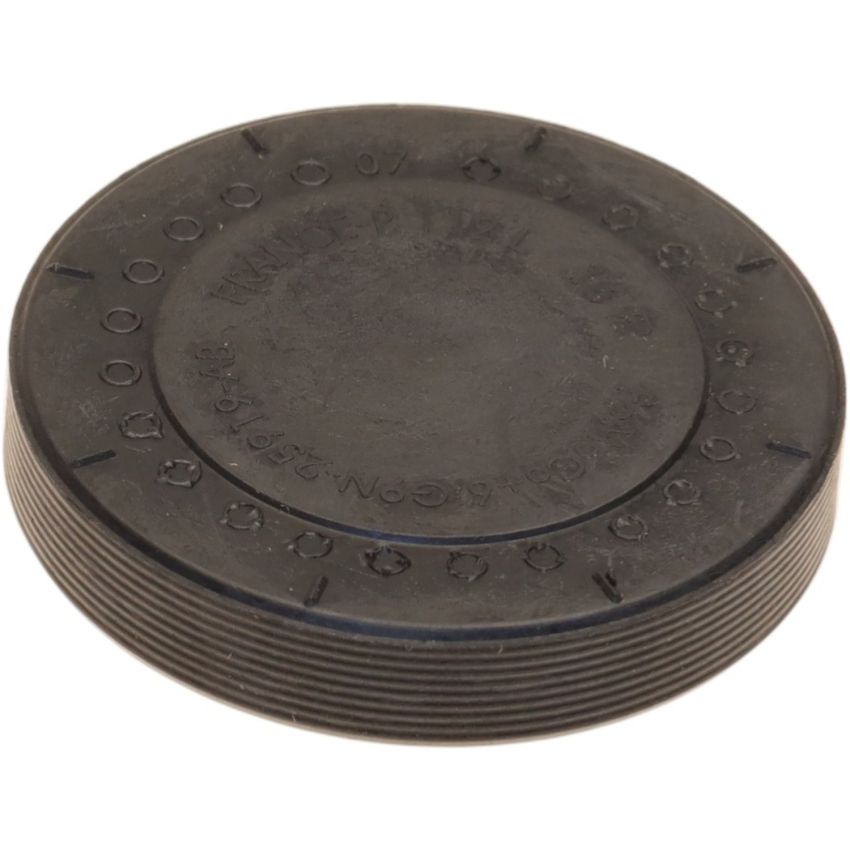 Genuine OEM Cam Plug 31251117