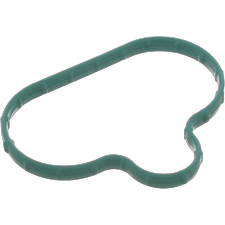 Genuine OEM Intake Manifold Gasket 3F1Z9439AA