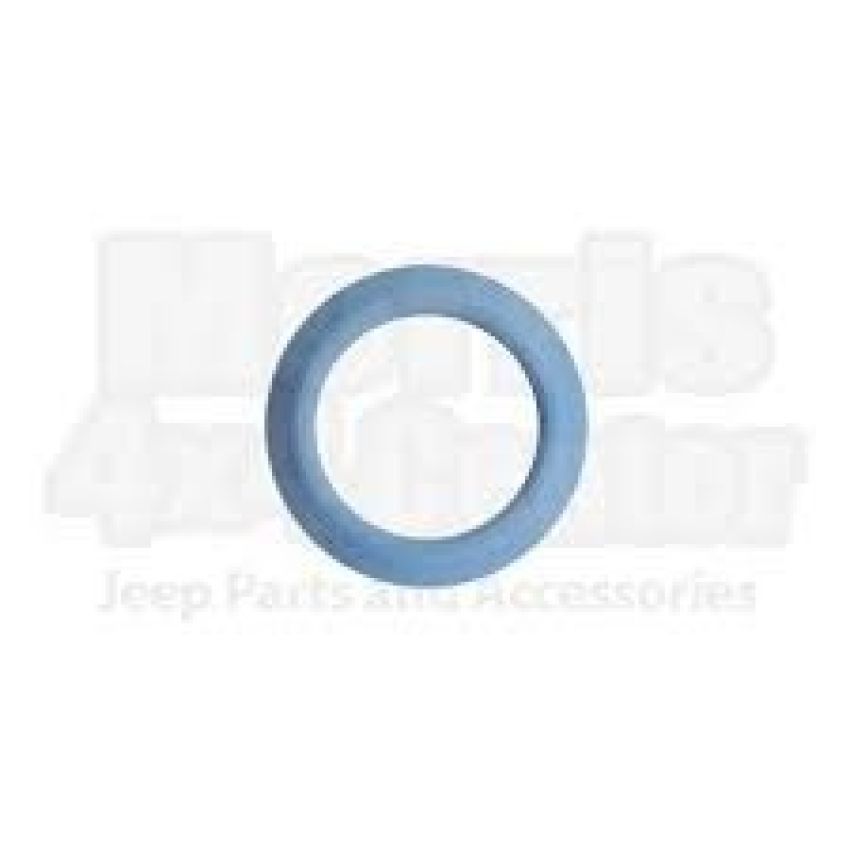 Genuine OEM 4591250 EGR Valve Gasket