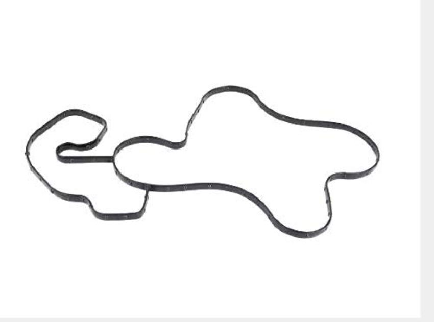 Genuine OEM 4893149AA Engine Water Pump Gasket