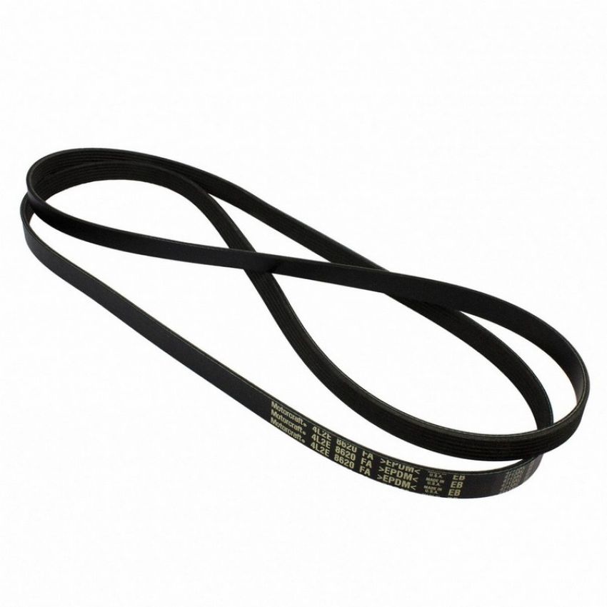 Genuine OEM 4L2Z8620A Accessory Belt
