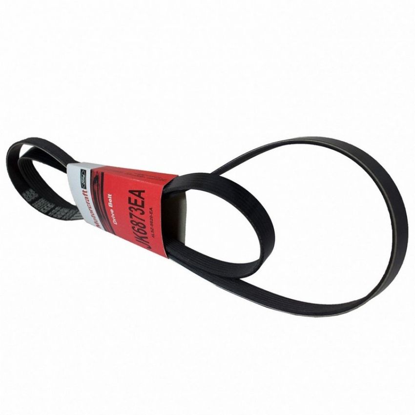 Genuine OEM 4L5Z8620EA Accessory Belt