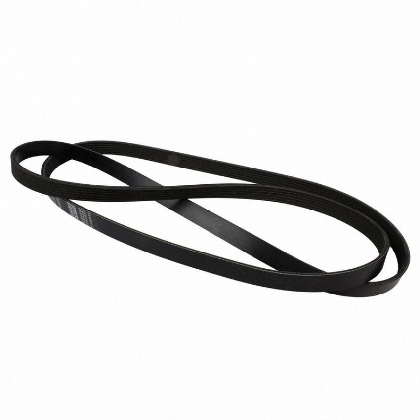 Genuine OEM 4L8Z8620A Accessory Belt