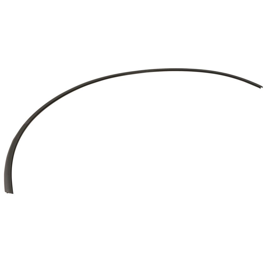 Genuine OEM Window Seal 51318159786