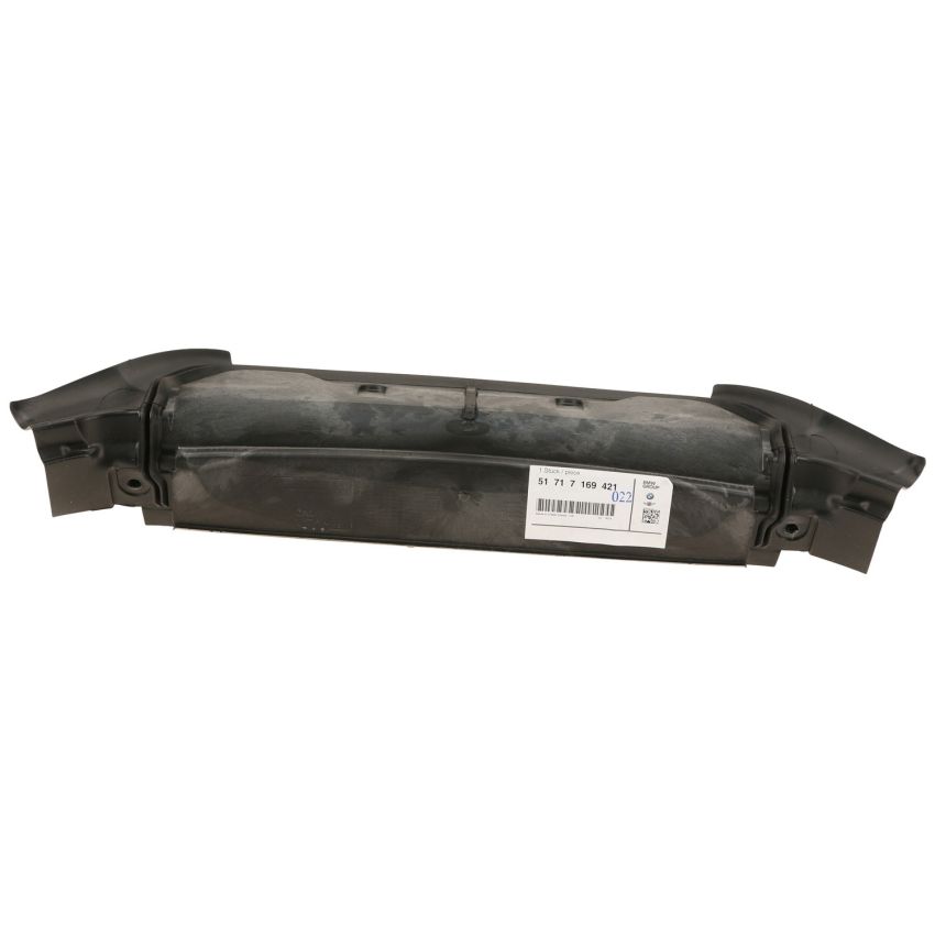 Genuine OEM 51717169421 Partition Panel