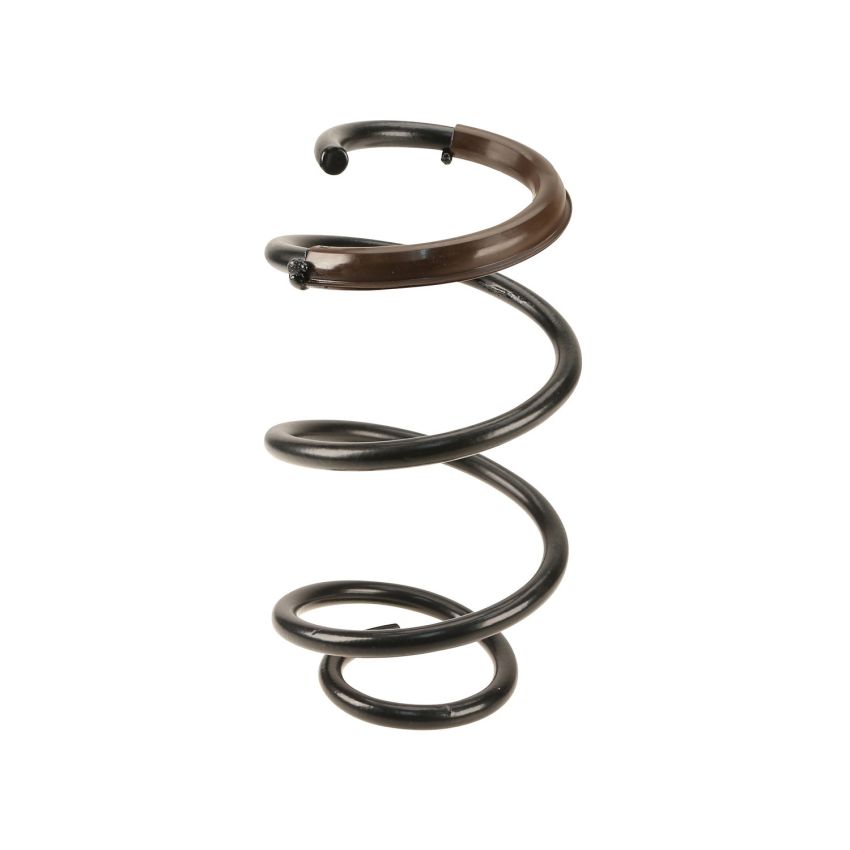 Genuine OEM 546303Q010 Coil Spring