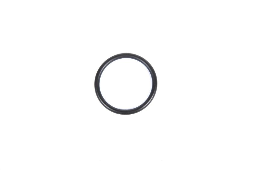 Genuine OEM Oil Pan Drain Plug Gasket 55569307