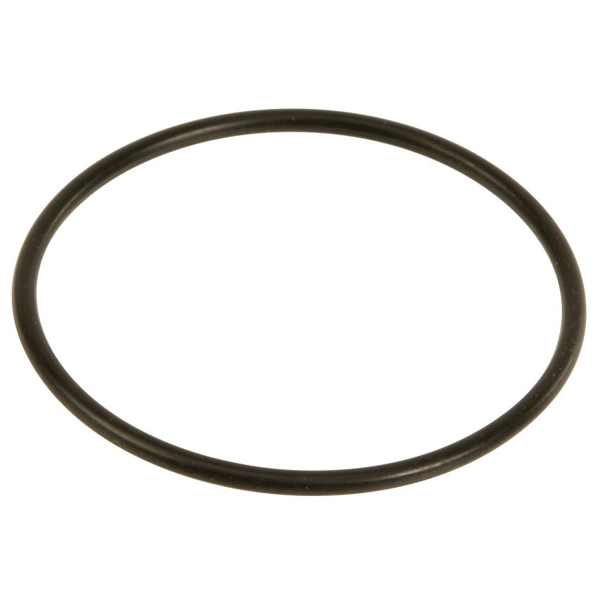 Genuine OEM FI Throttle Body O-Ring 5958764