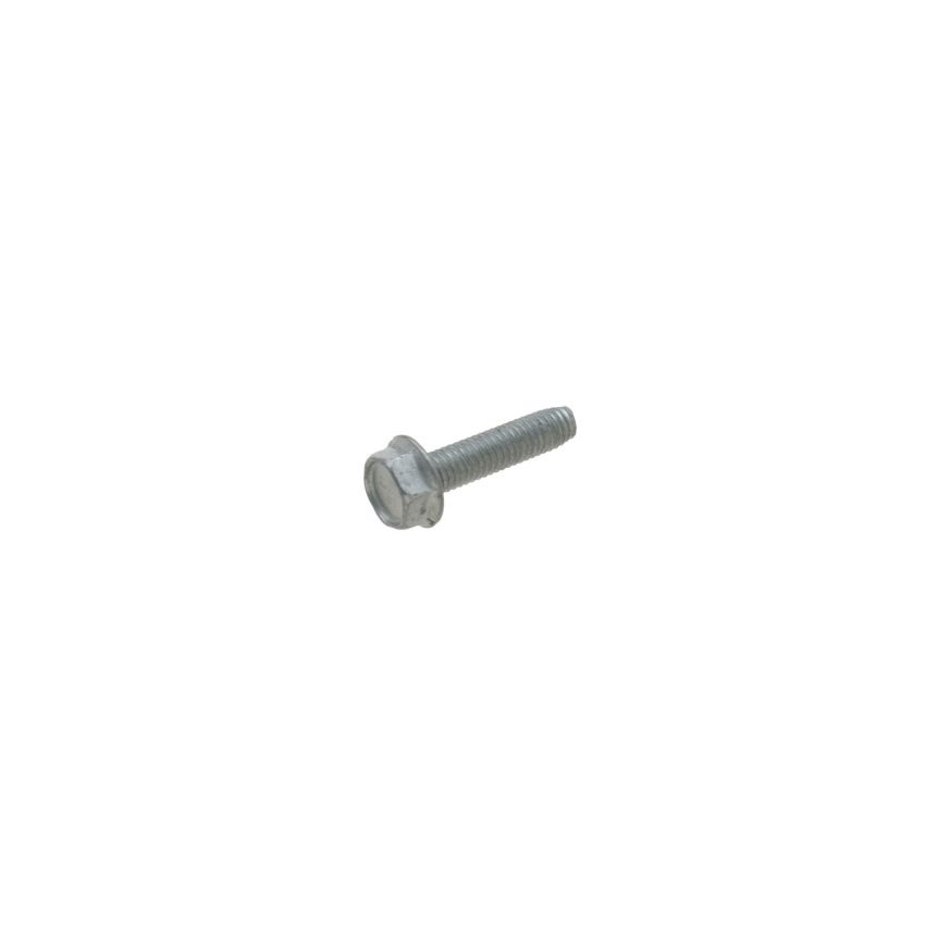 Genuine OEM Screw 6069900104