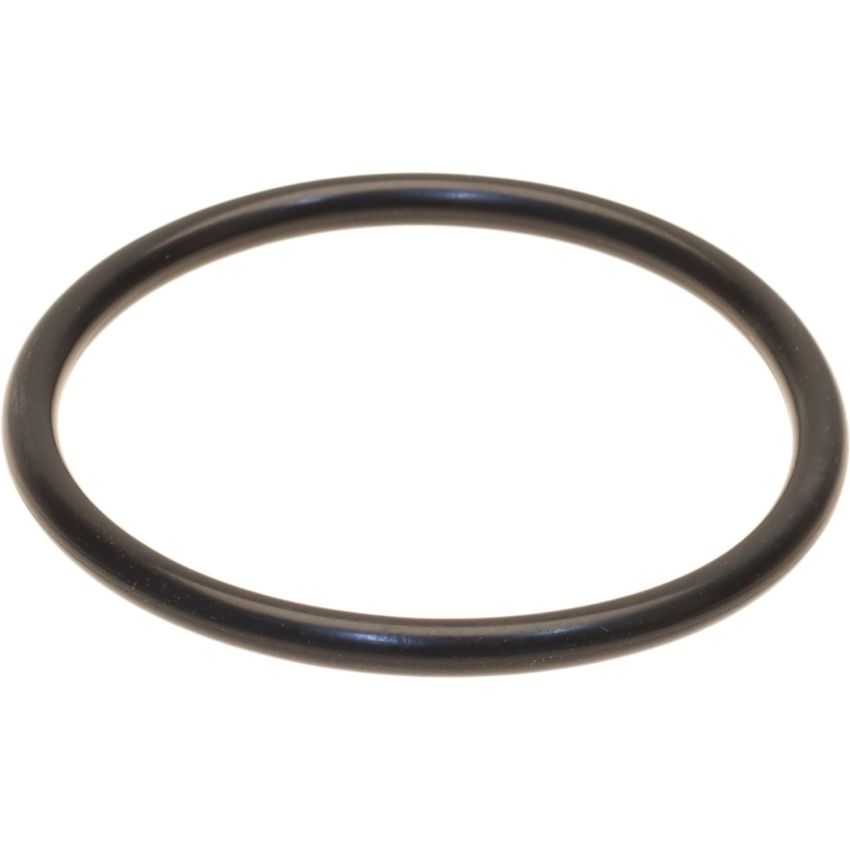 Genuine OEM Air Intake Seal 6069970645