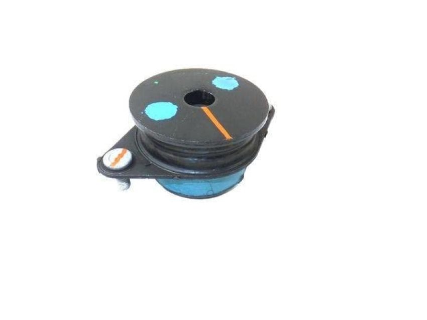 Genuine OEM Body Hold Down Cushion