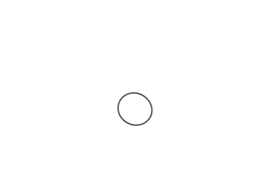 Genuine OEM 68454500AA O RING