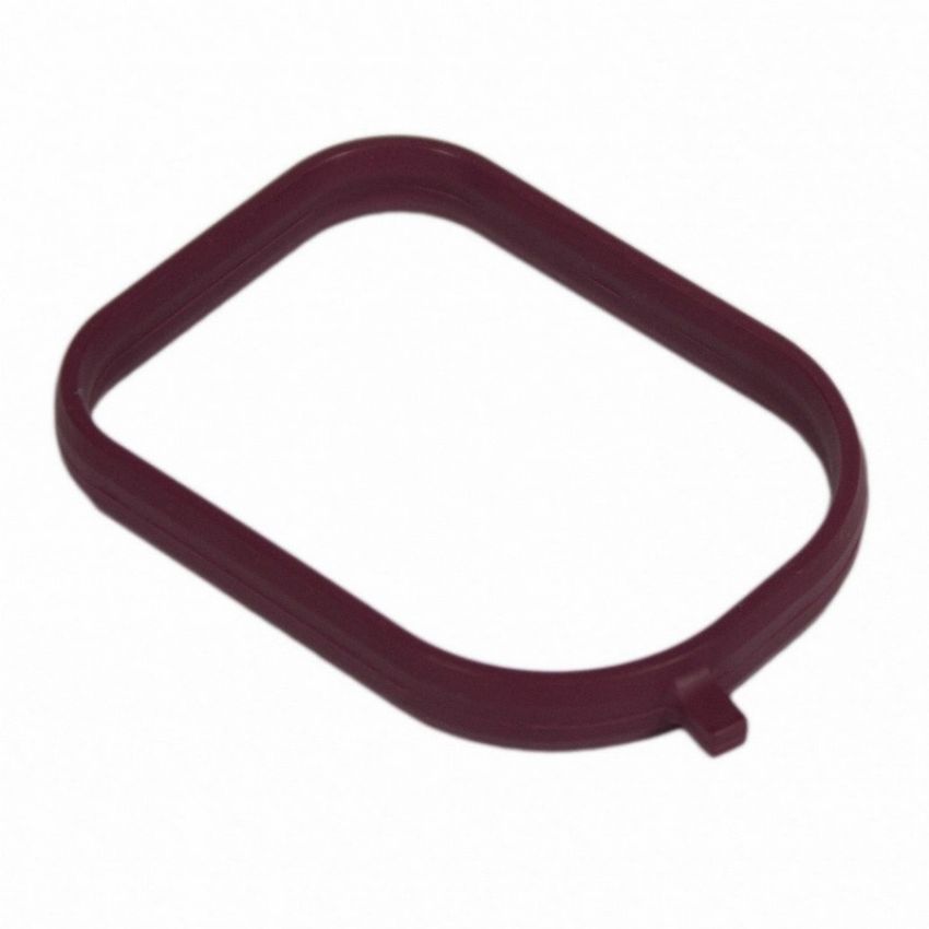 Genuine OEM 6G9Z8255BA Water Neck Gasket and O-Ring