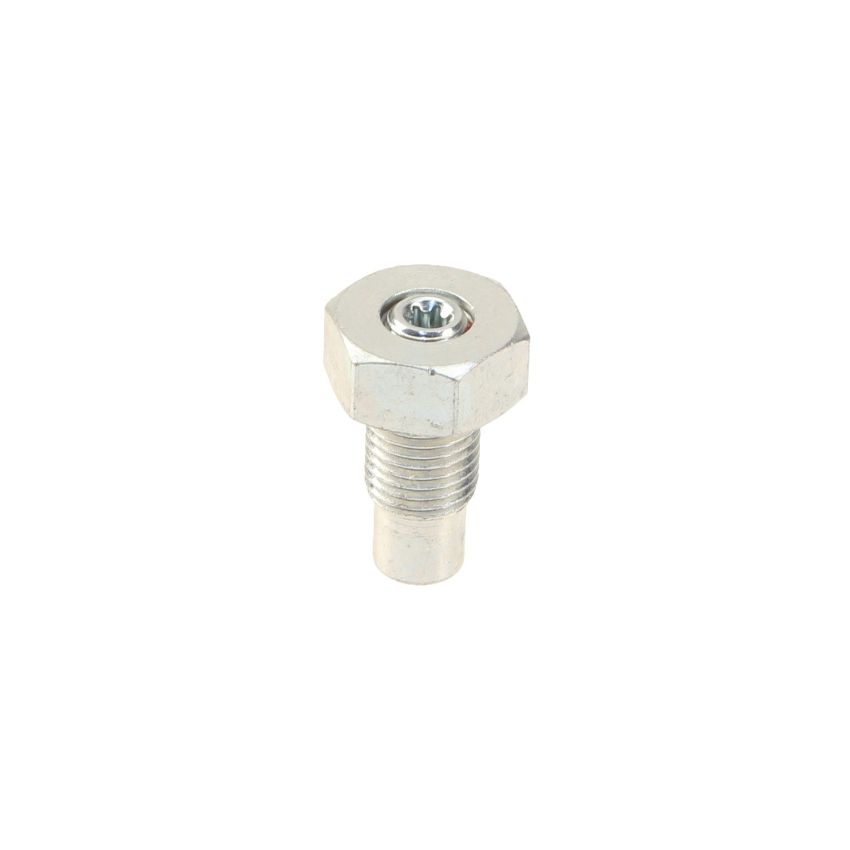 Genuine OEM 6R3Z7A010A AT Drain Plug