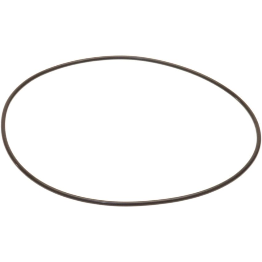 Genuine OEM Diff. Side Cover O-Ring 806992020